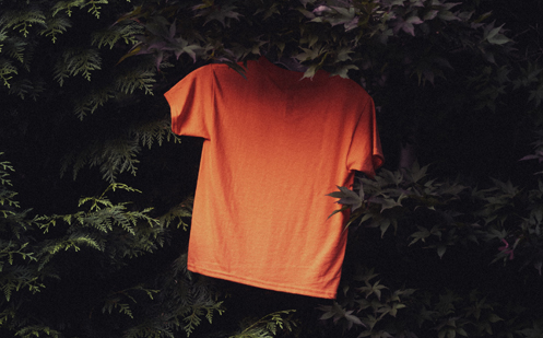 An orange t-shirt hangs from a tree branch.