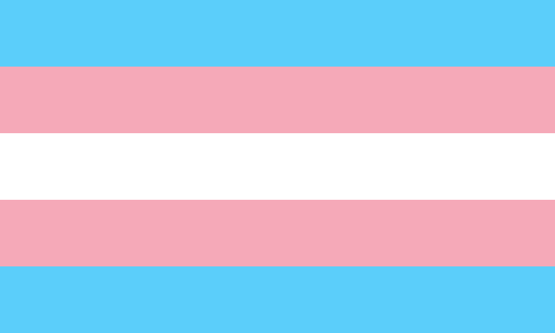 drapeau de la fierté trans