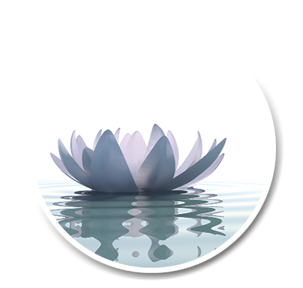 un lotus qui flotte sur l'eau