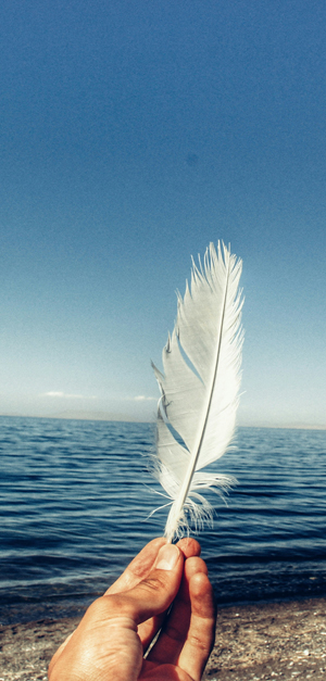 A brown-skinned hand holds a white feather up to an ocean backdrop