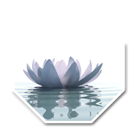 A lotus floating on water