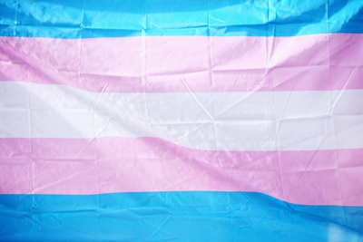 The trans pride flag3450